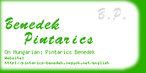 benedek pintarics business card